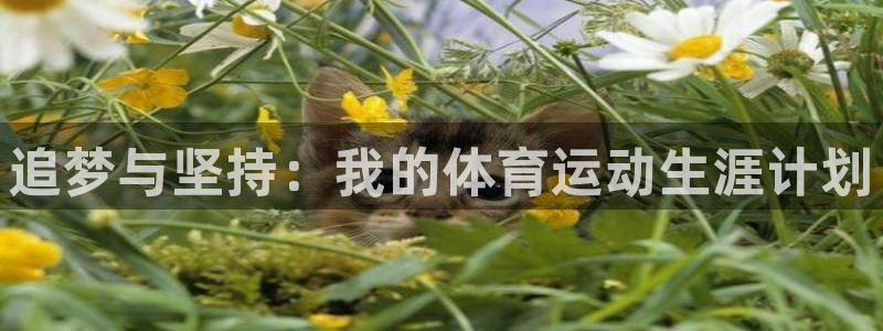 3377体育官网下载招商电话是多少号码:追梦与坚持:我的体育